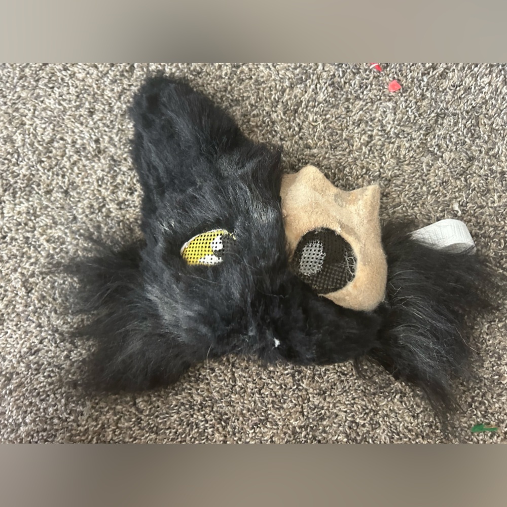 Skull  cat mask